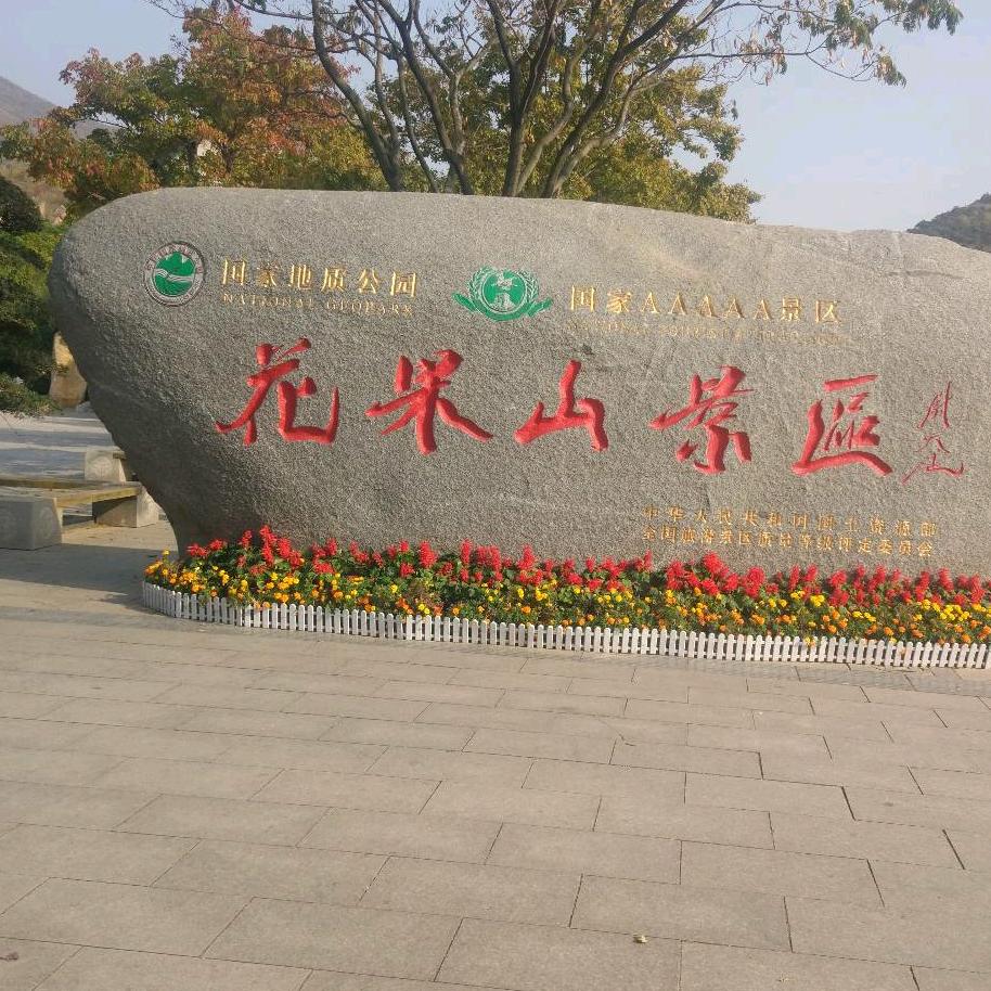 随心所欲o