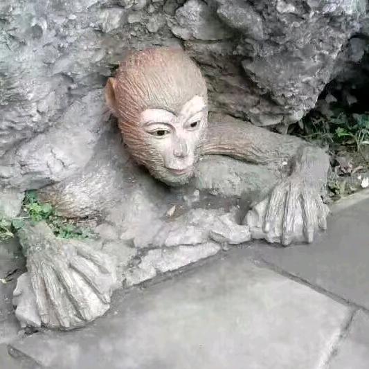 自由飞翔。八零后的