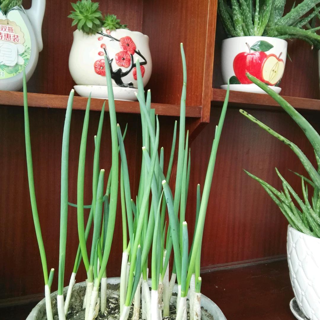 放手也是一种错误