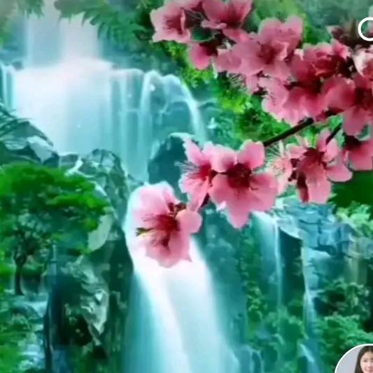 AgiP9快乐一枝花Lzthw