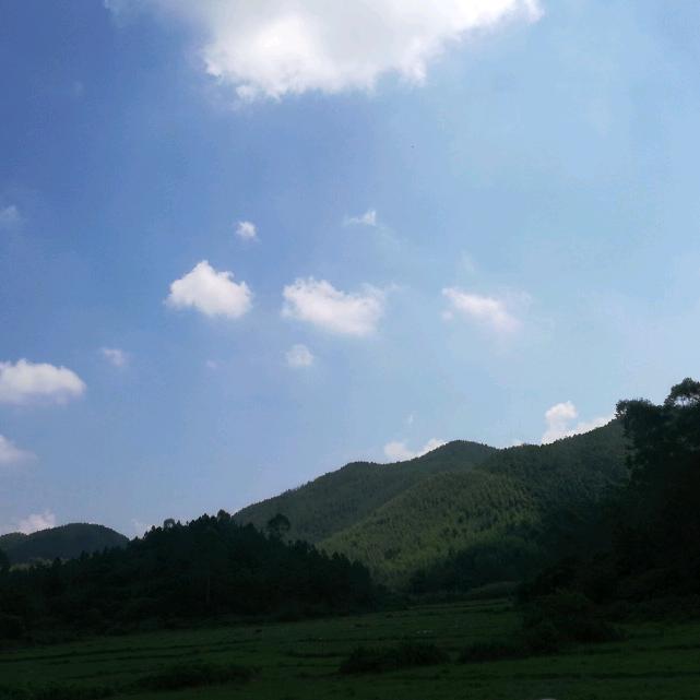 风吹浪花