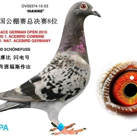 用户5579304815626下雨天