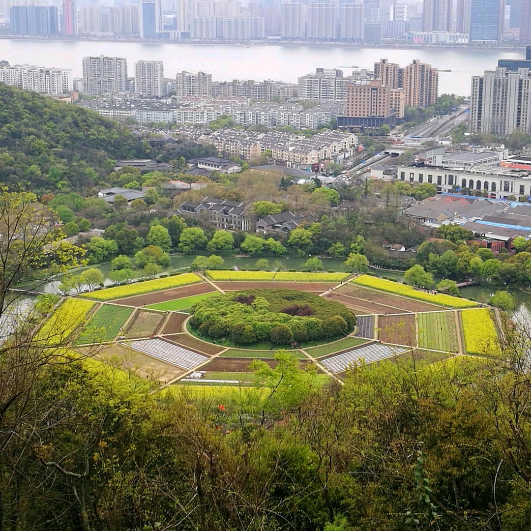 晓旦