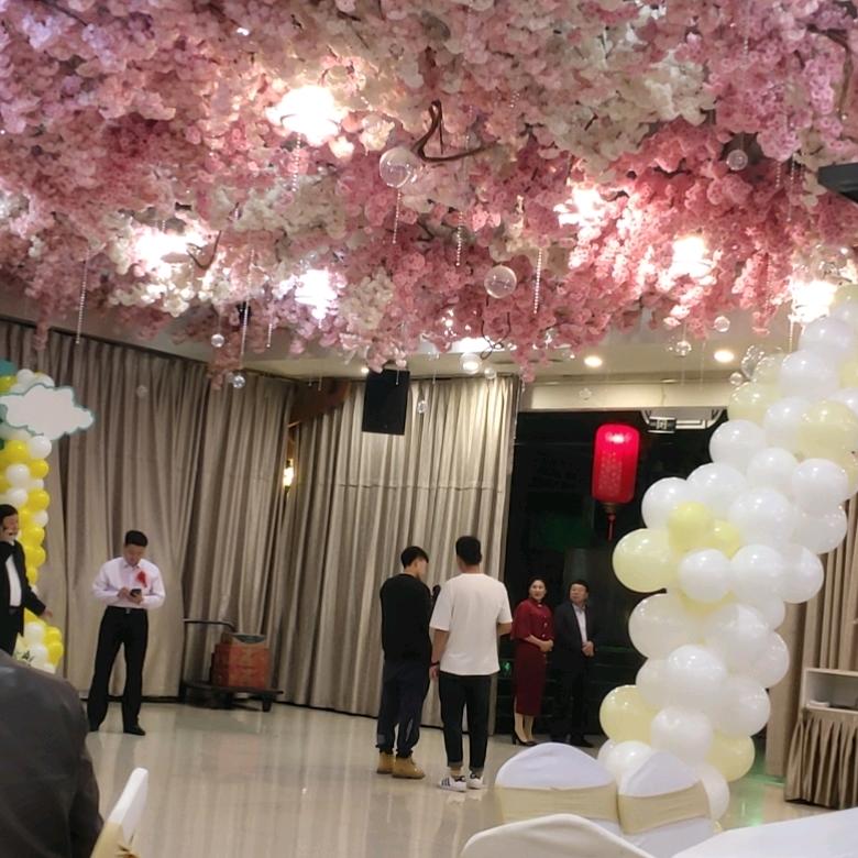 豆芽