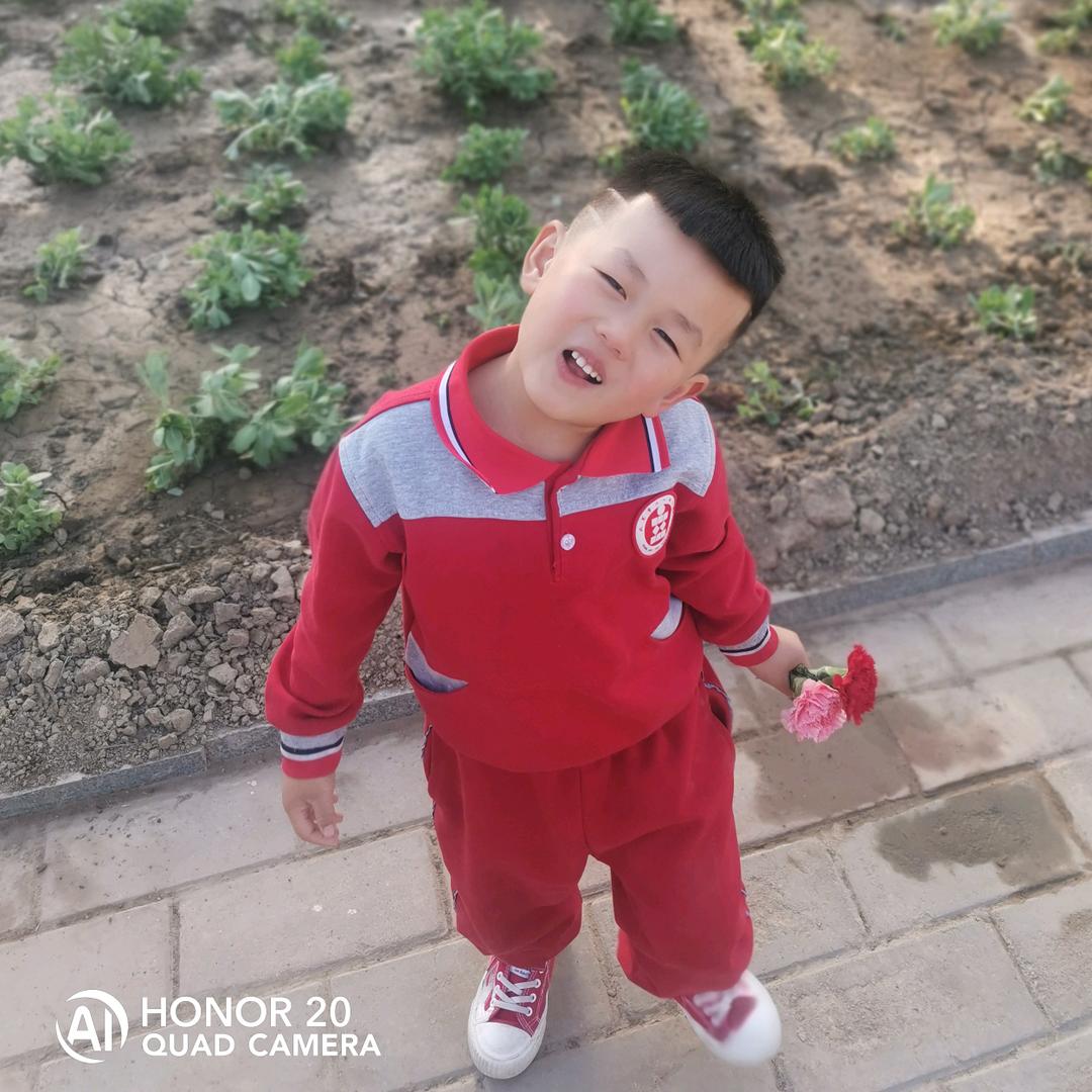 养了很多孔雀鱼