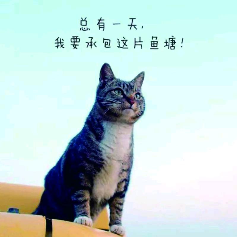 鸿耀 别墅门 庭院门 护栏