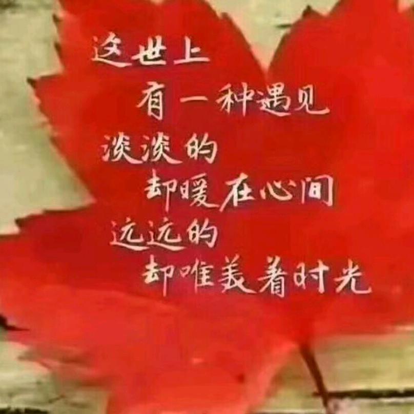 LIqiuqun