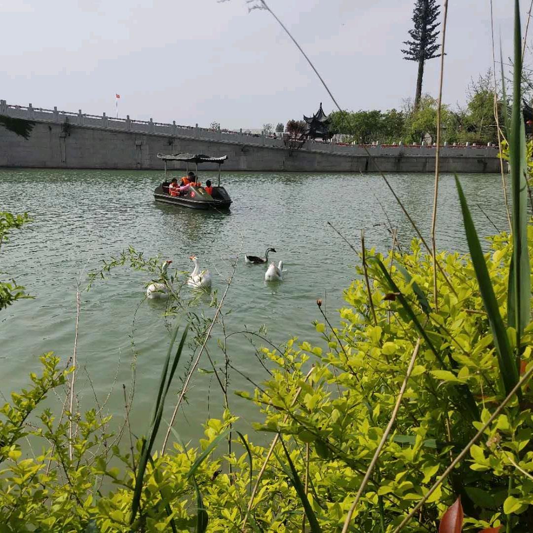 @@🍀顺🌾李成张🌸