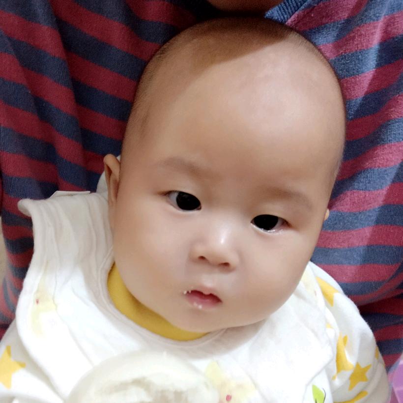 阳果