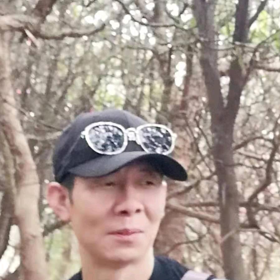 陈晨