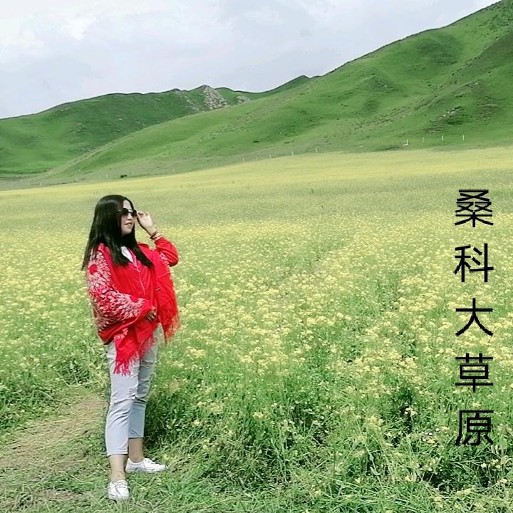 武山梦漂丽莎