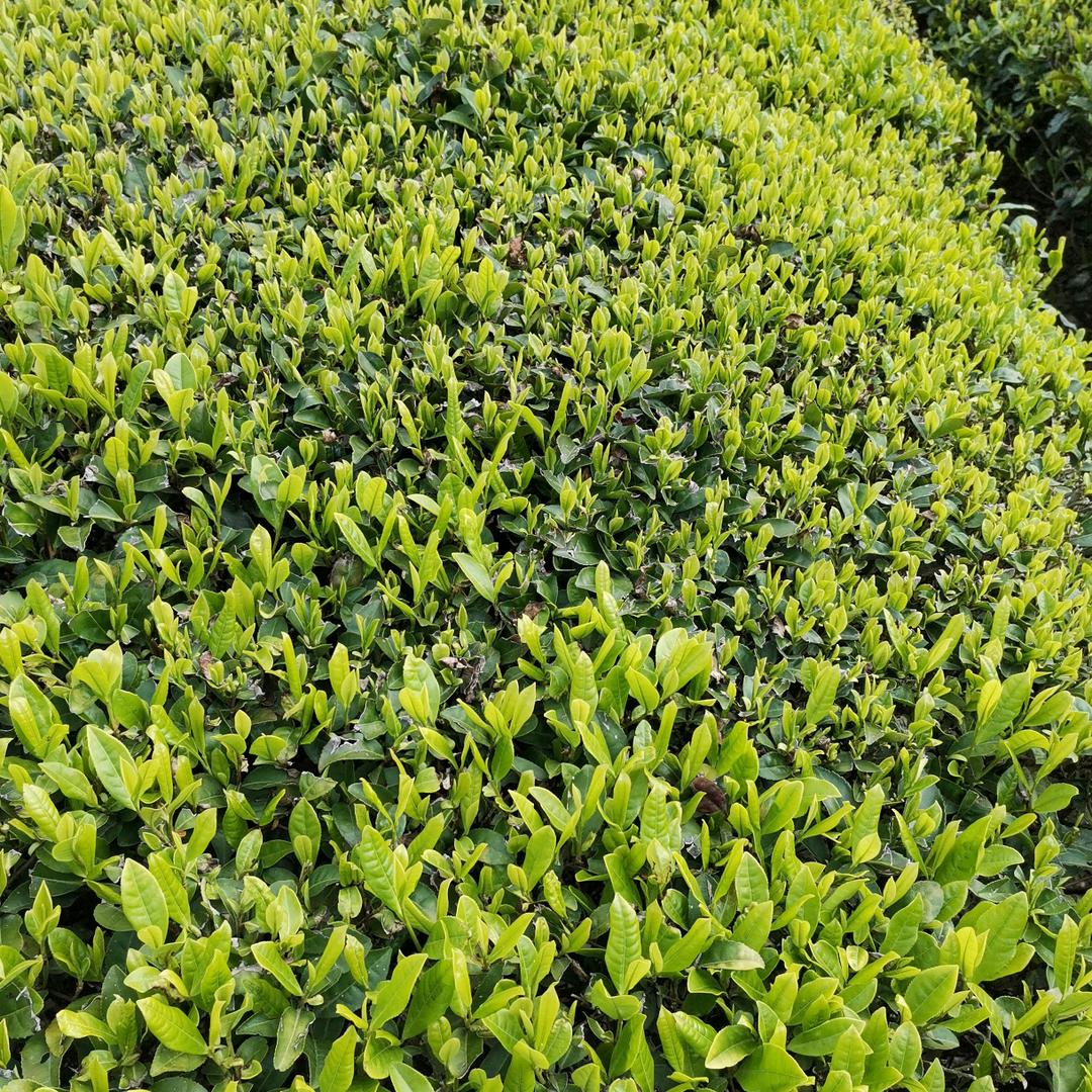 用户8782660424044王安学