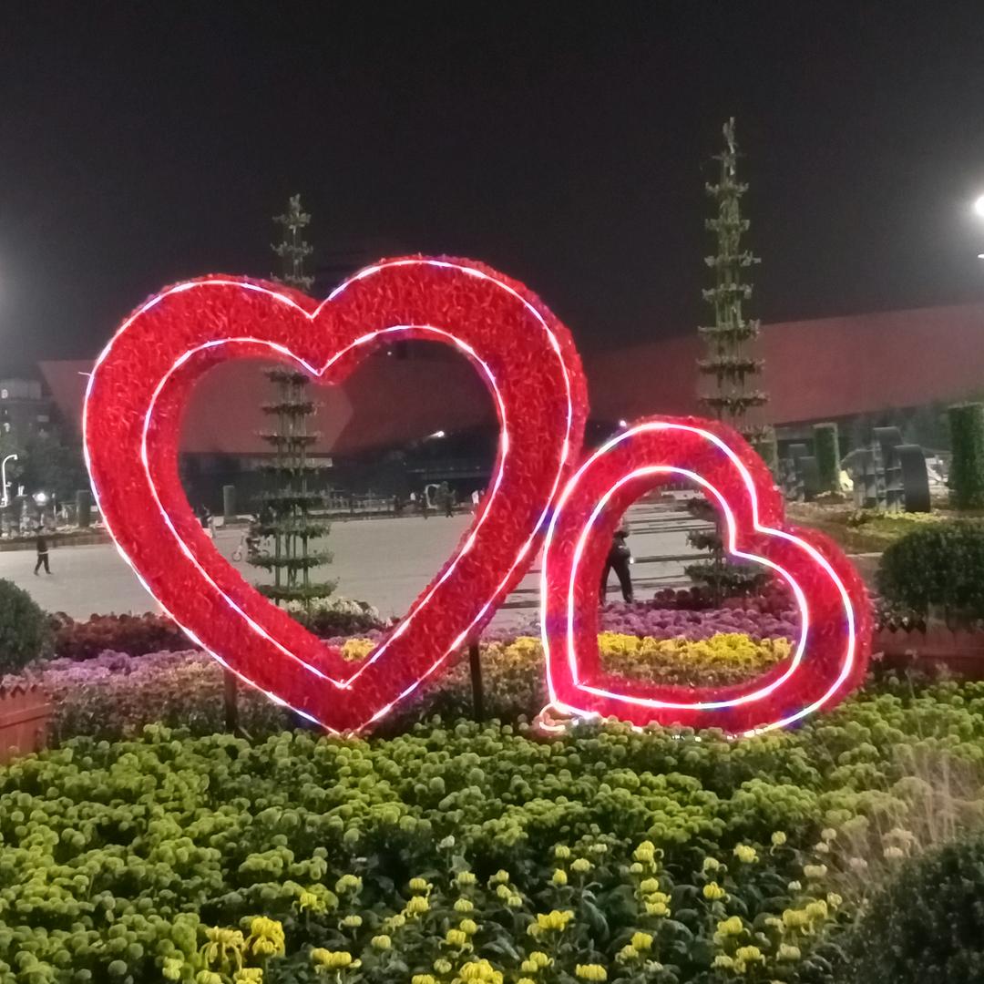 玫瑰花茶