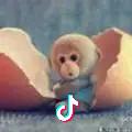 Literary talent Fly