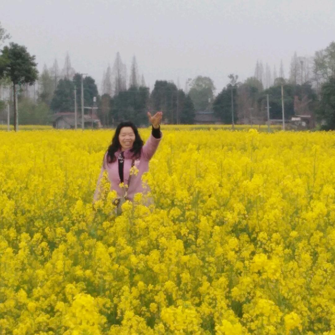 英英编发  （聊天带货主播）