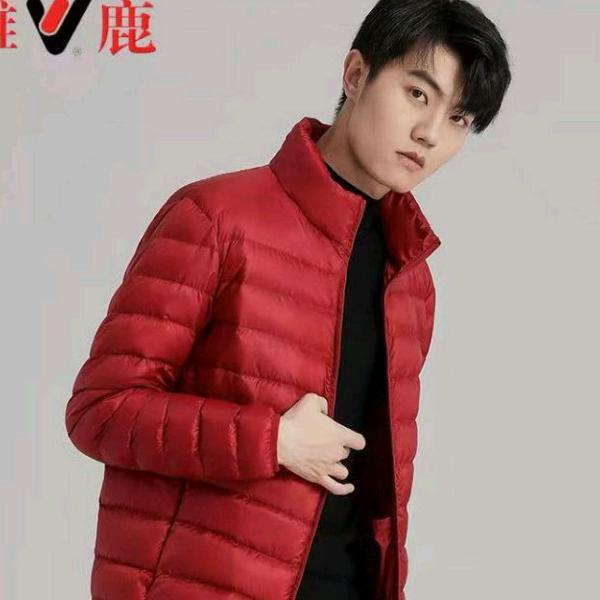 战队