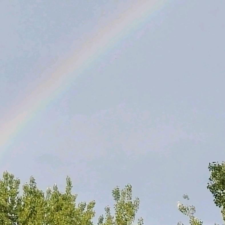 开心快乐ヾ(❀╹◡╹)ﾉﾞ❀~