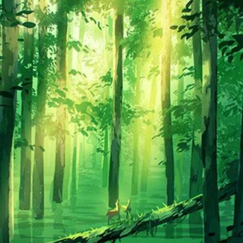 〃八月柒秋叶初凉-ぐ