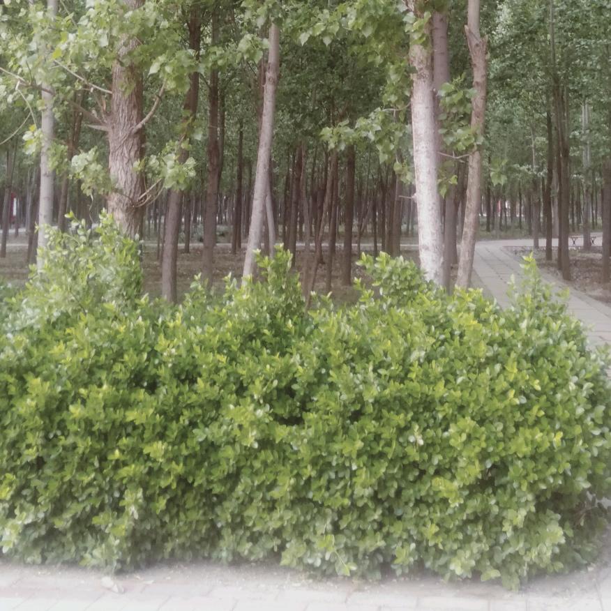 @平安喜乐