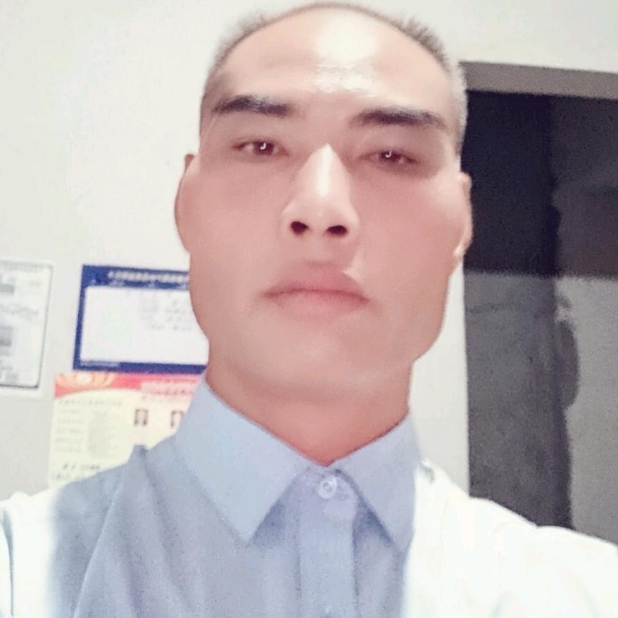 沙漠；～：之狼