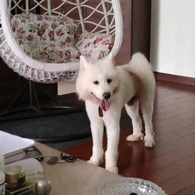 人生何处不相逄