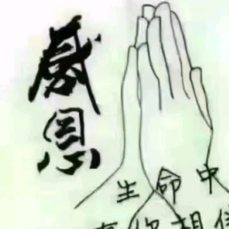 用户彬诚相待