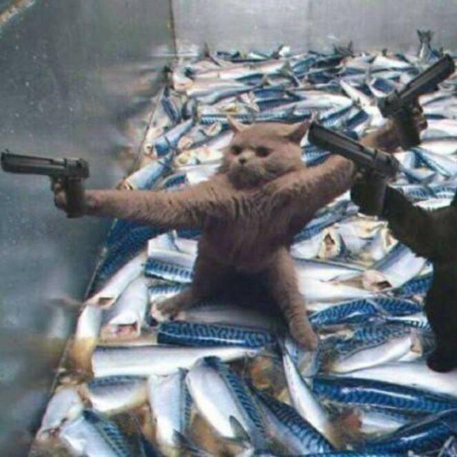 吉吉国王