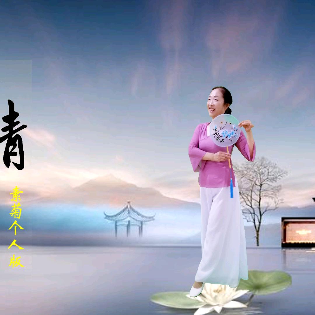 素菊