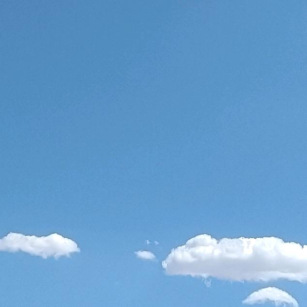 糊涂聪明