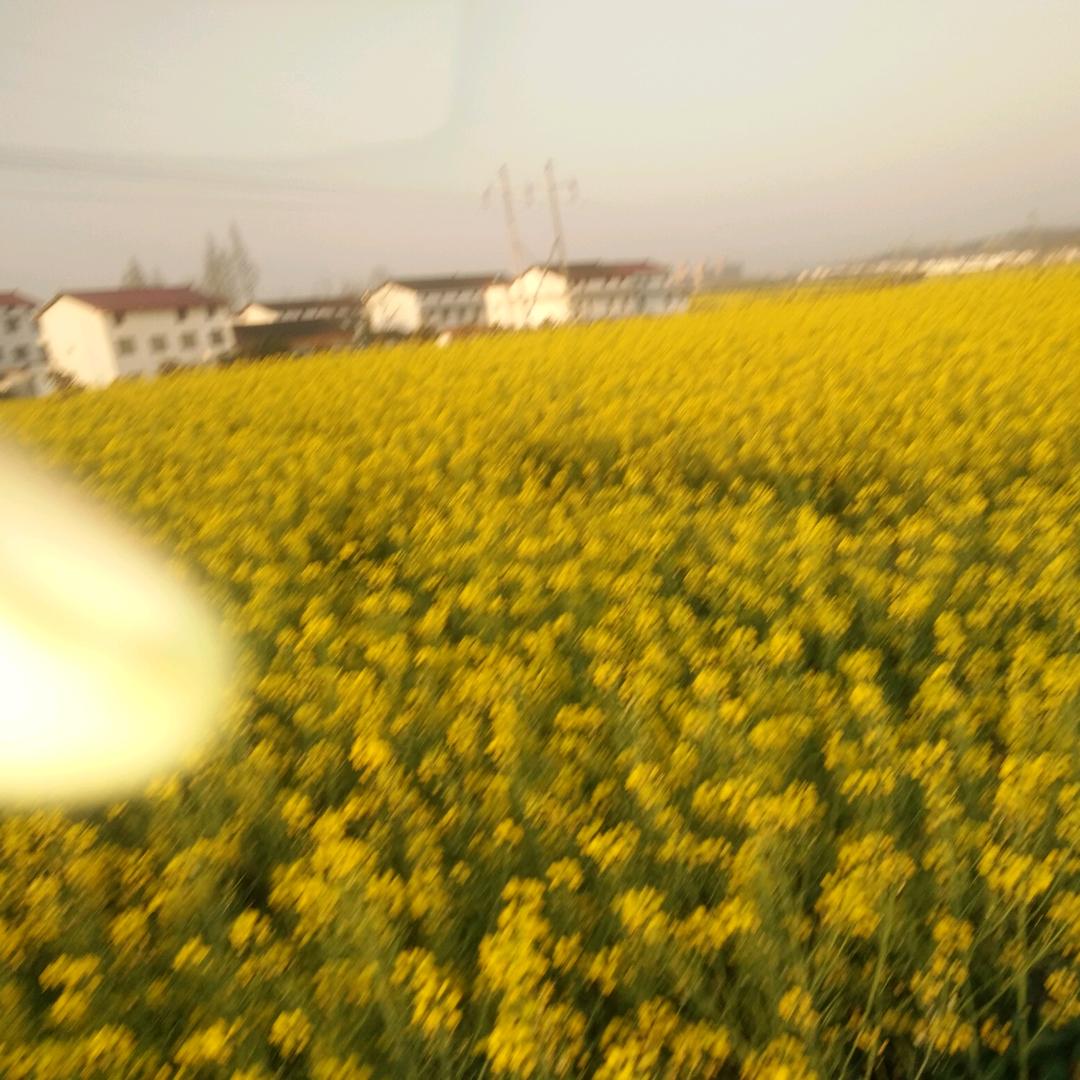 惠蜂卖蜂蜜