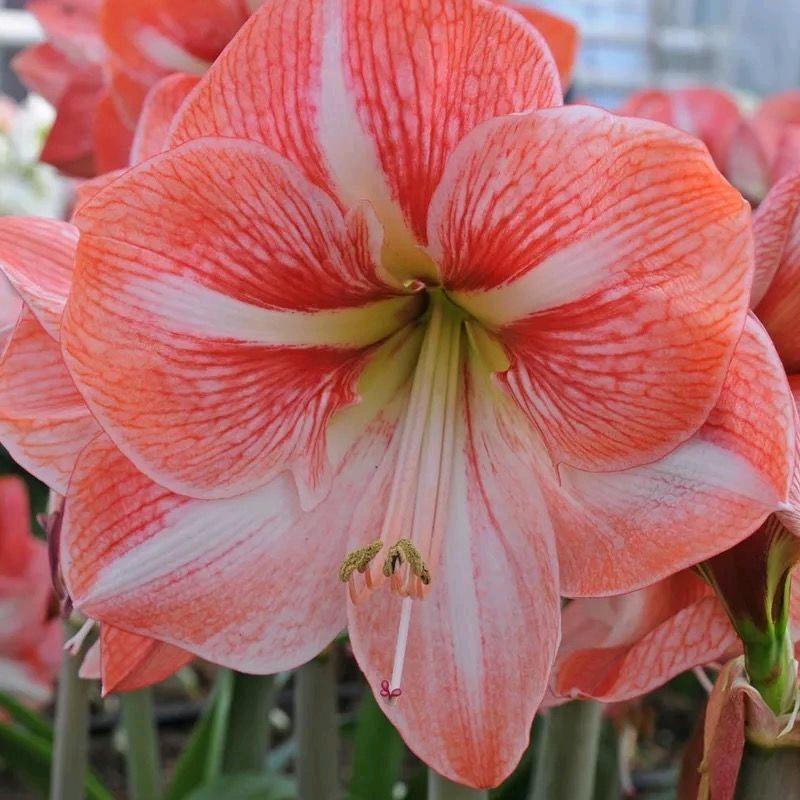 🍟👱🍣🔶诈唬vQ62Imx明智