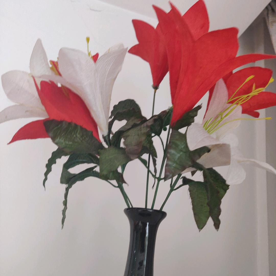 红桃♥️