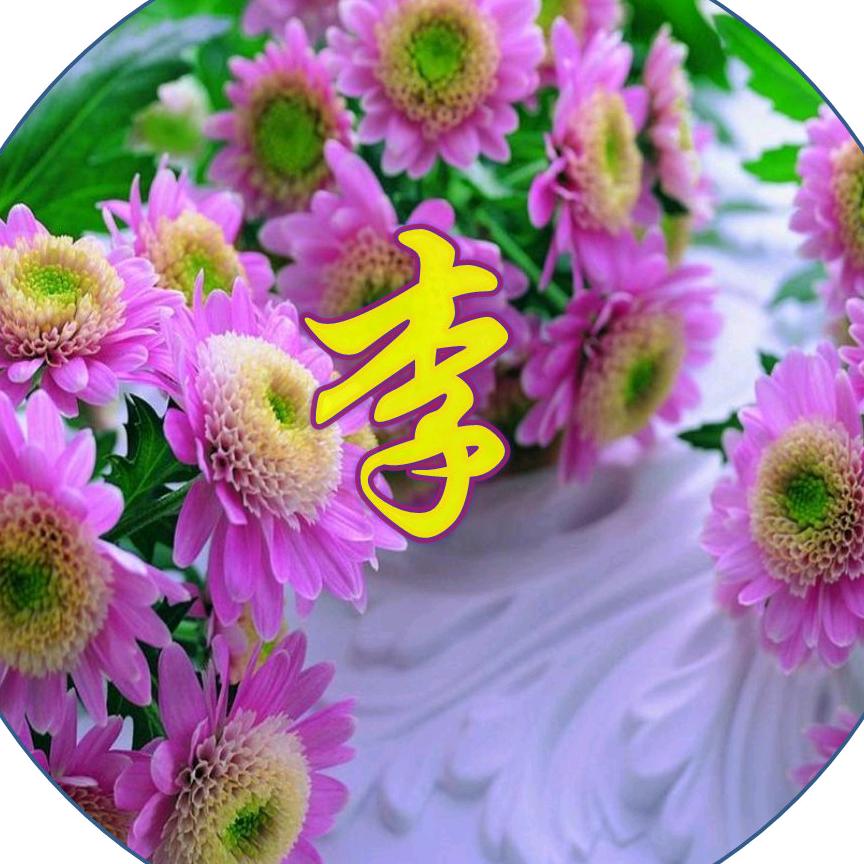秦汉思源