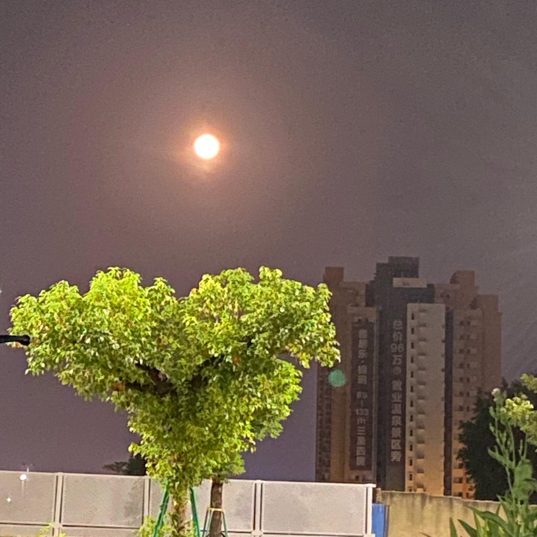 月亮🌙