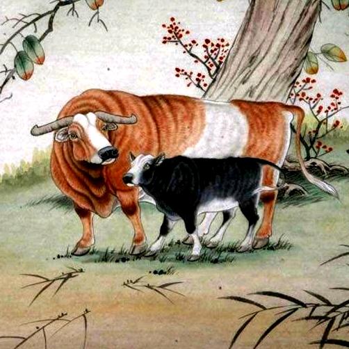 为你点赞