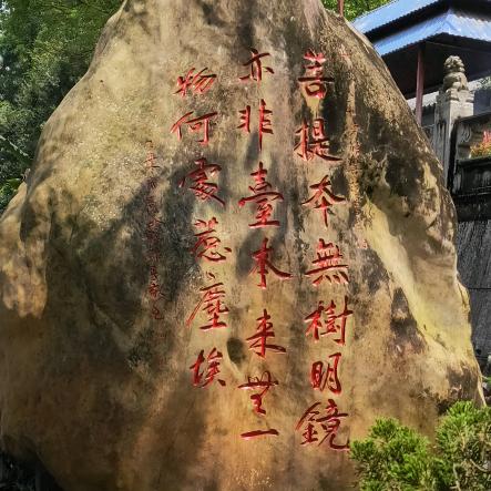 欣欣向荣2020
