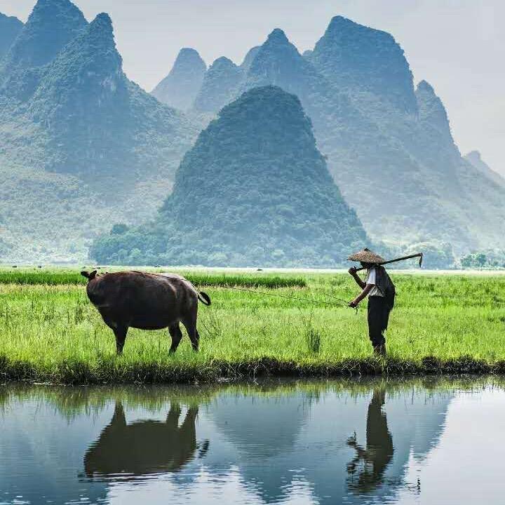 探路者的春天