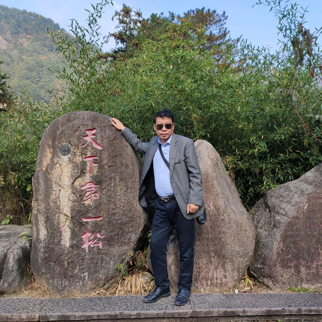 森林