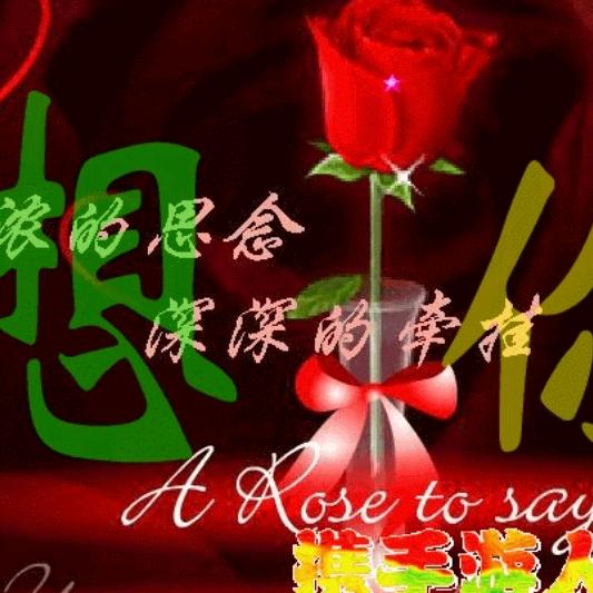 🌹与梦同行🌴🌴🌺🌹