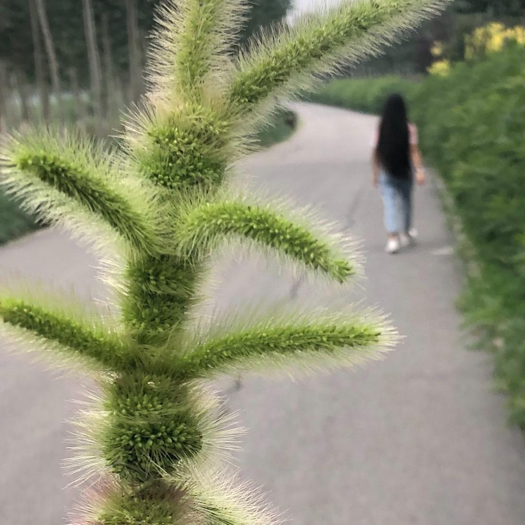 丽儿