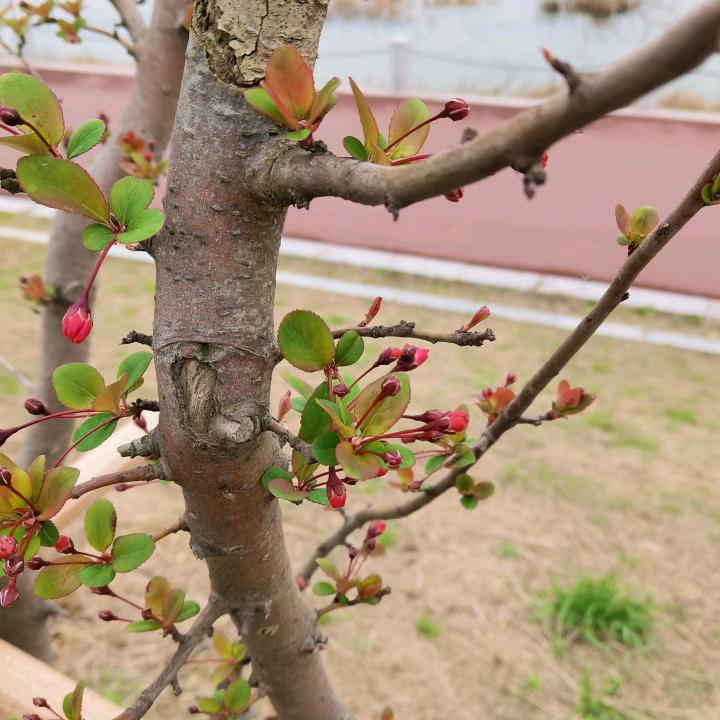 🌈🦅青杉绿谁