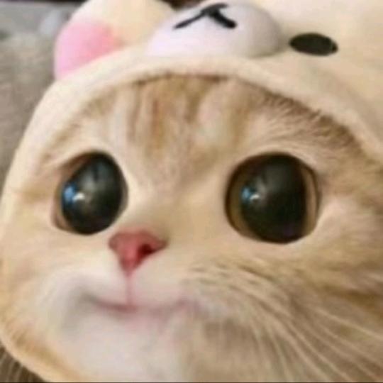 ……喂