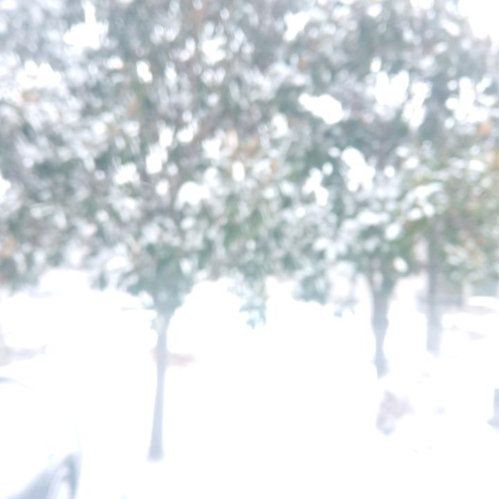 秋月春风