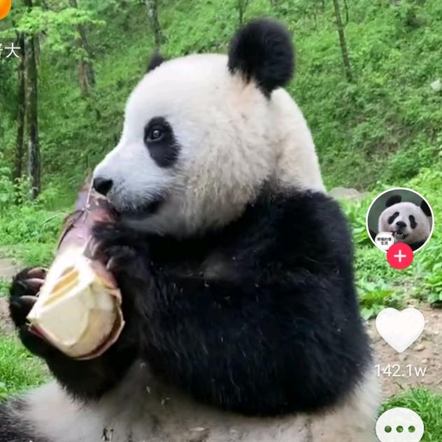文杰