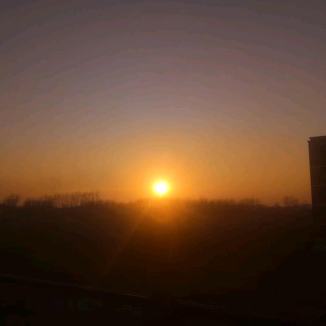 骑着猪在草坪上悠哉悠哉的走