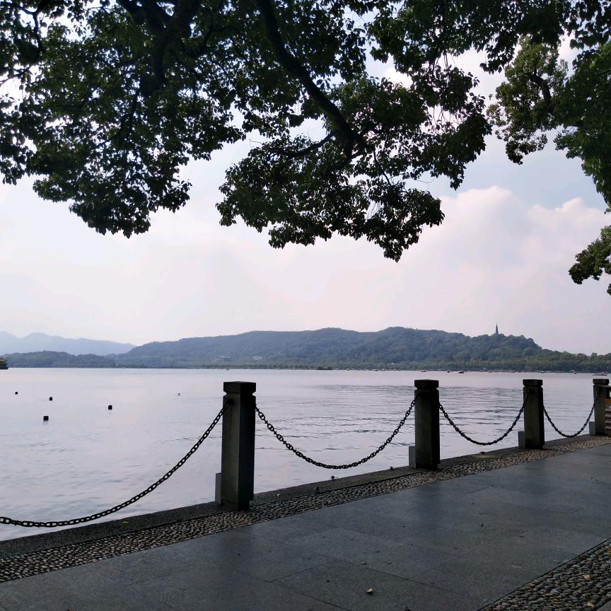 婷宝，杰（4242）