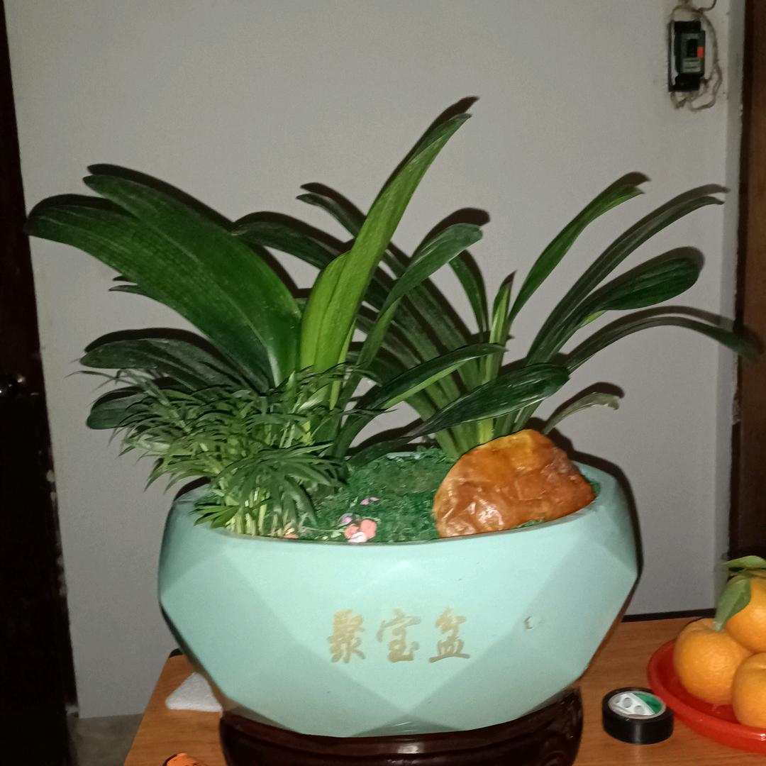 棱伟
