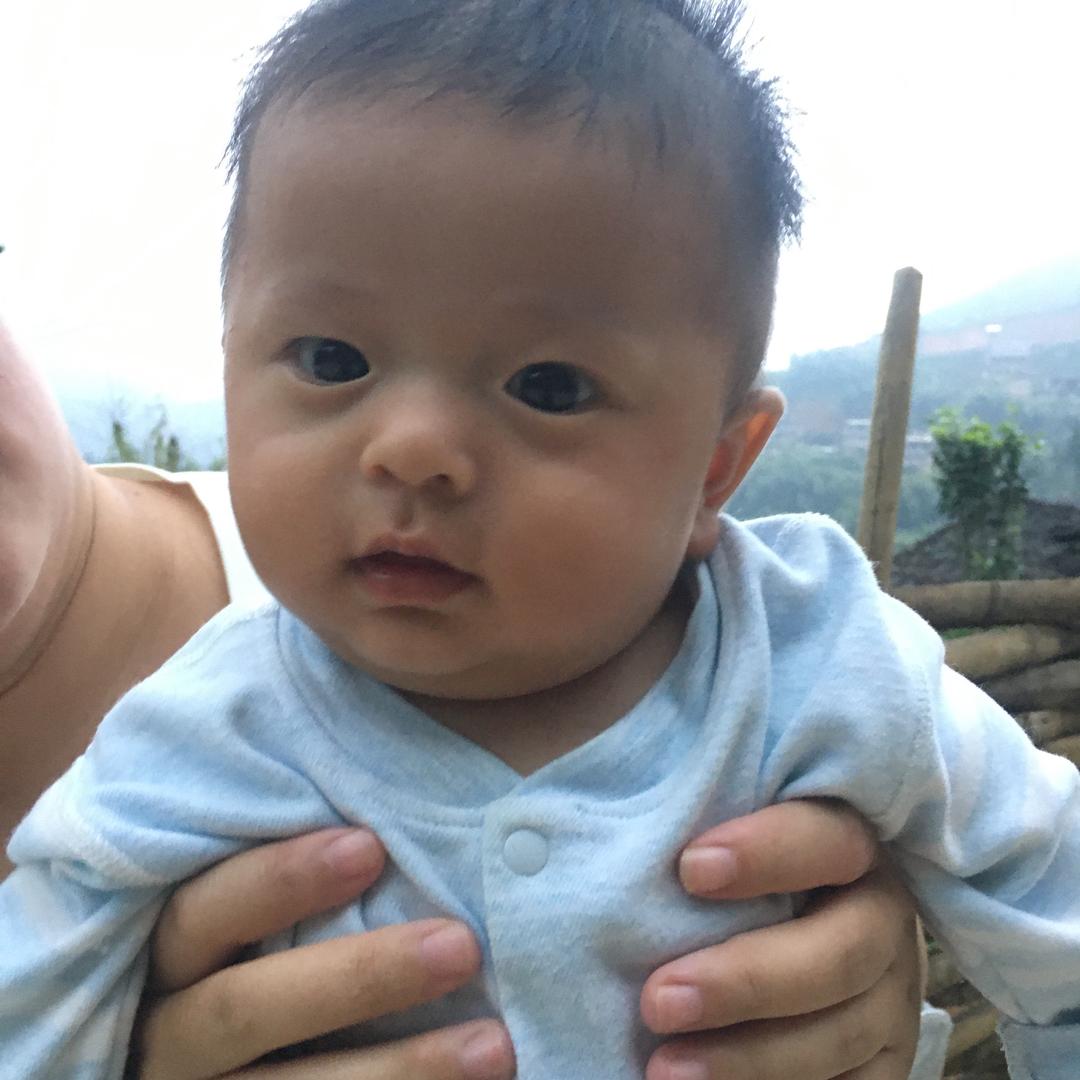 小白菜
