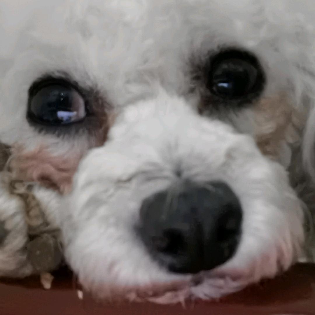 月亮挂在门边