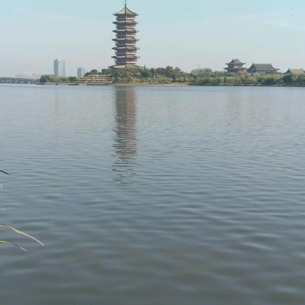 刘
